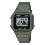ساعت مچی مردانه کاسیو CASIO مدل W-217H-3AVDF